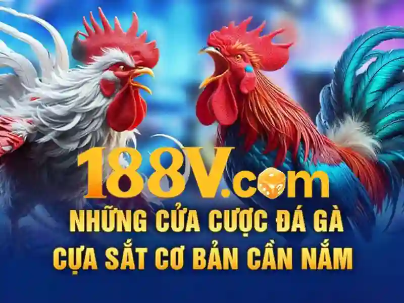Trải nghiệm người dùng và phản hồi từ cộng đồng