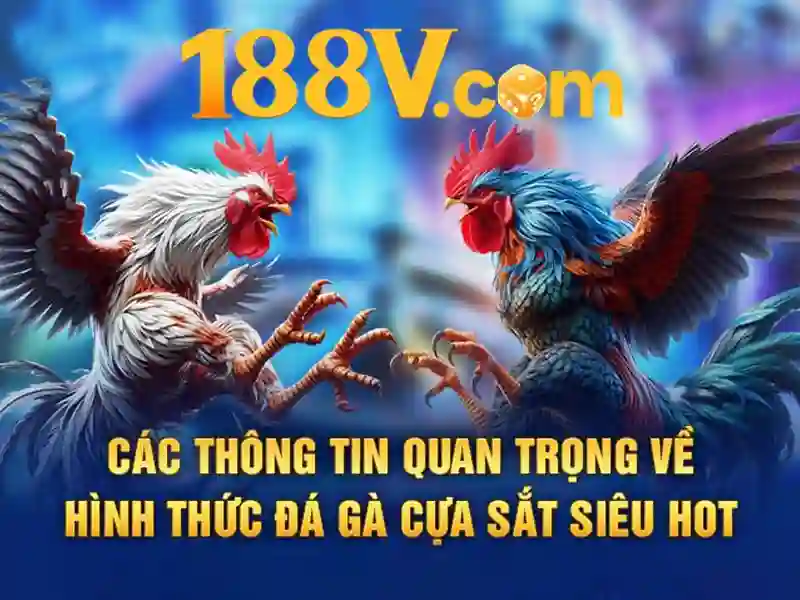 Giao diện nhà cái hoàn hảo