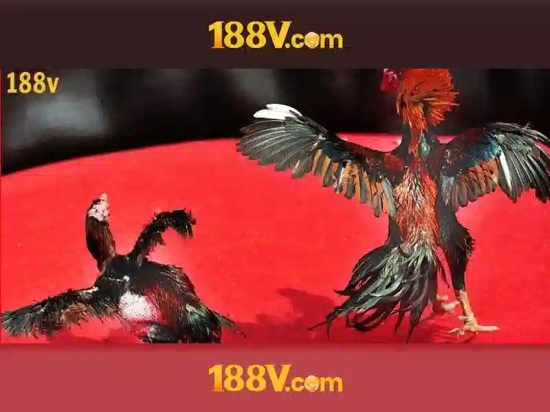 Khái niệm 188v
