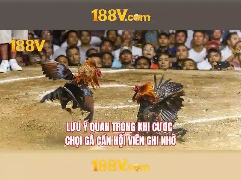 khuyến mãi 188v – Tổng quan và Giá trị Cốt lõi