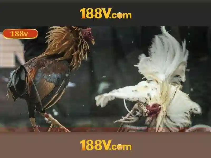 Giao diện nhà cái hoàn hảo
