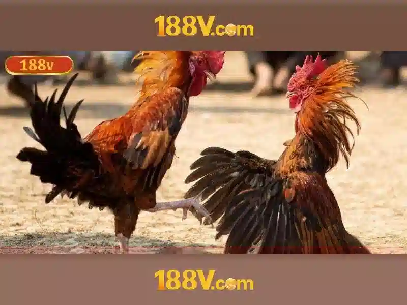 Khía cạnh thú vị và thách thức