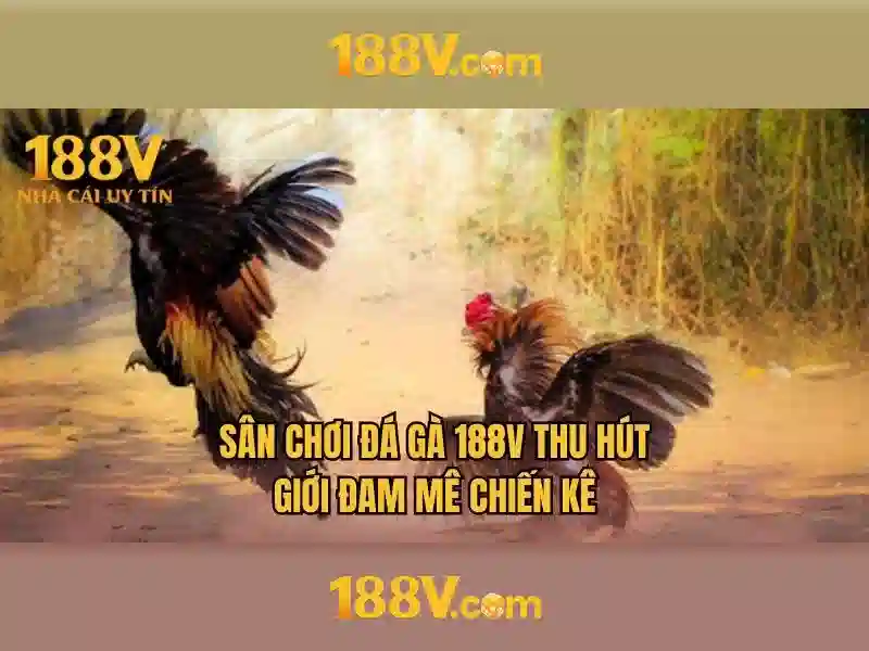 Sản phẩm và dịch vụ chính: Ứng dụng thực tế của 188v com vn