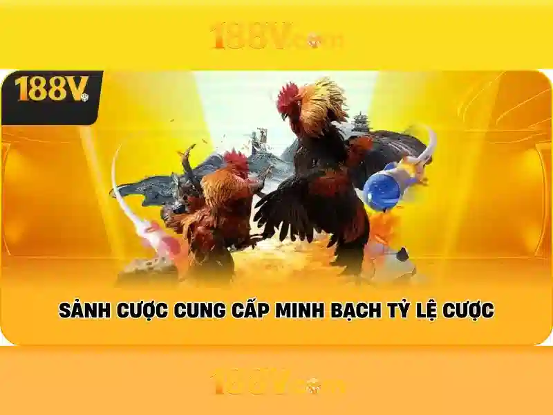 Kết luận về 188v và tương lai