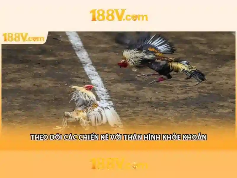 So sánh 188v với các chuẩn khác