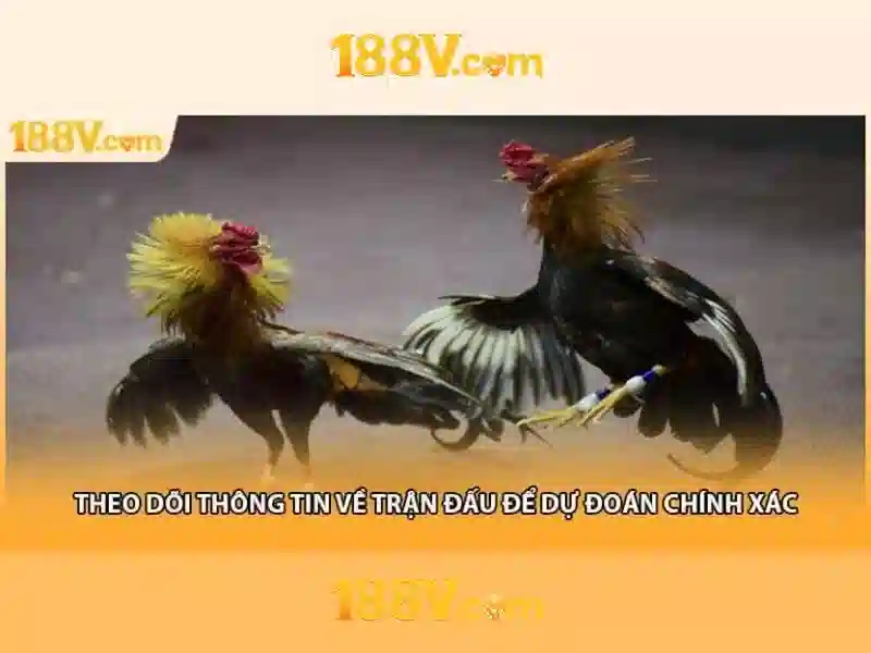 An toàn và biện pháp bảo vệ