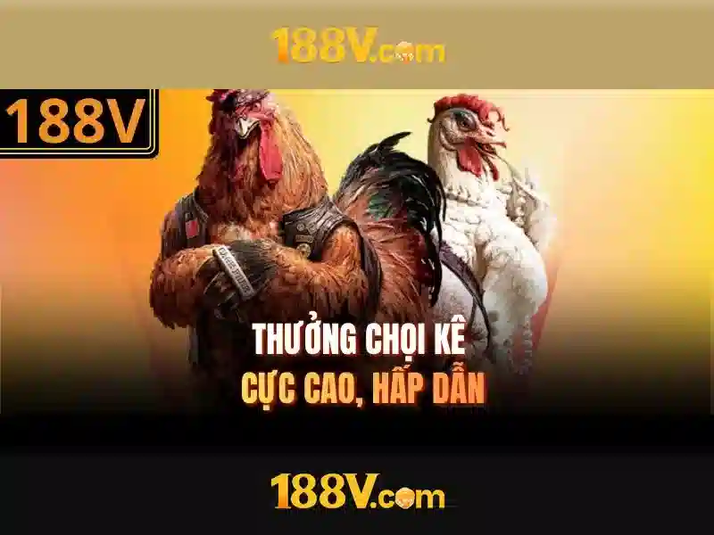 Tổng quan chủ đề và giá trị cốt lõi