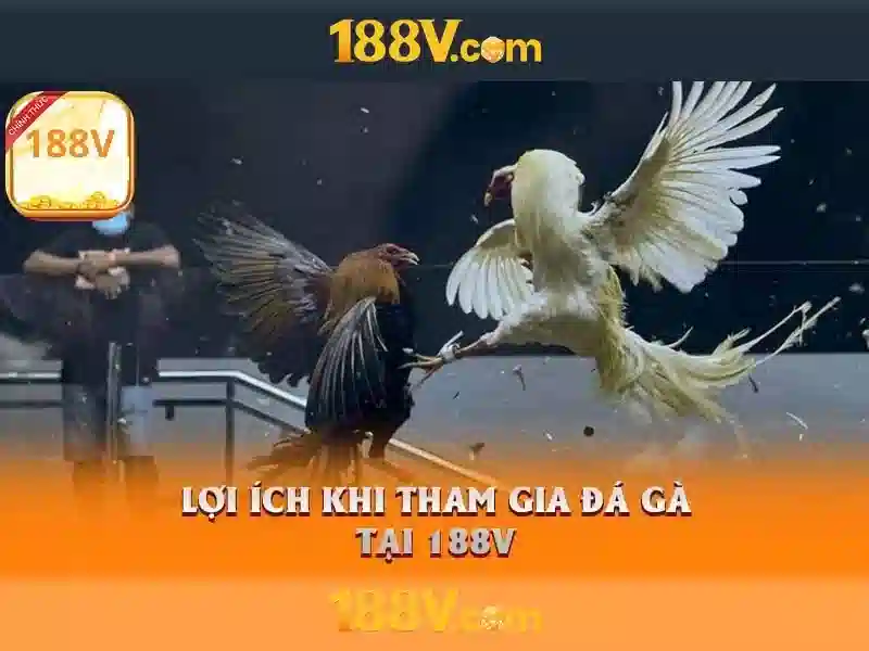 Giao diện nhà cái hoàn hảo