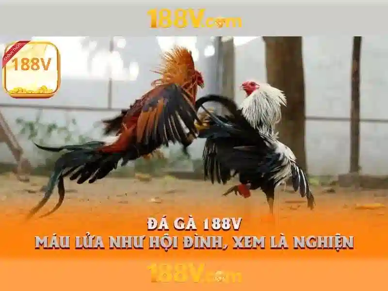 188v: một con số và những câu chuyện