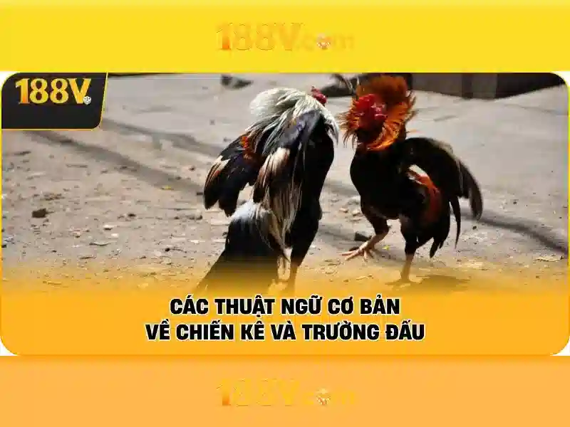Lịch sử và ảnh hưởng