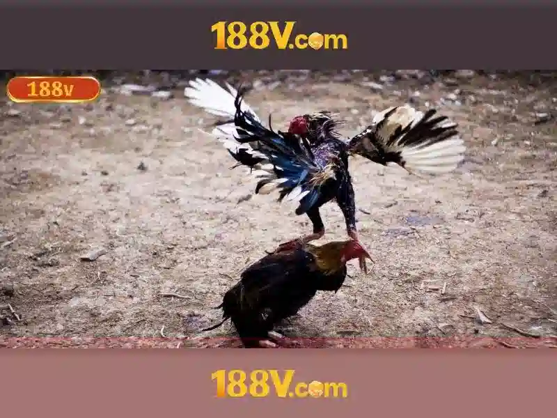 Khái niệm 188v