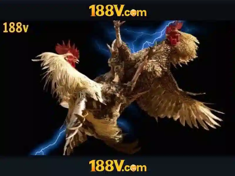 188v app: Khám phá nền tảng và trải nghiệm đỉnh cao Giao diện nhà cái hoàn hảo