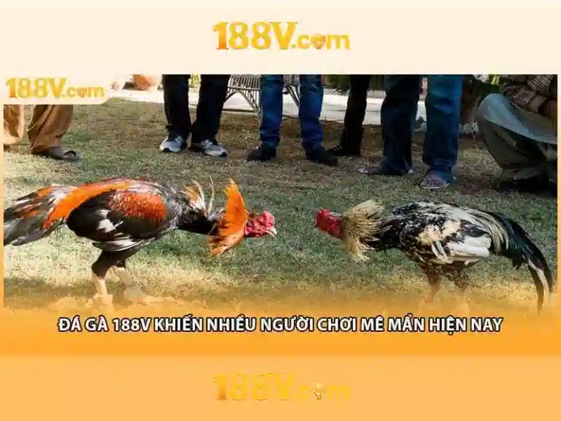 Giao diện nhà cái hoàn hảo