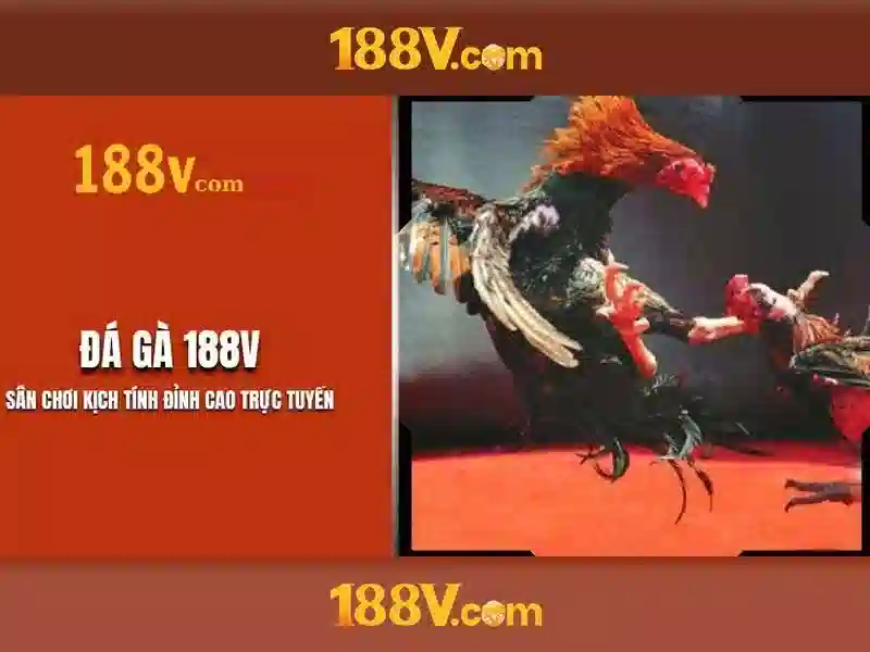 188v và hành trình khám phá con số huyền bí Giao diện nhà cái hoàn hảo