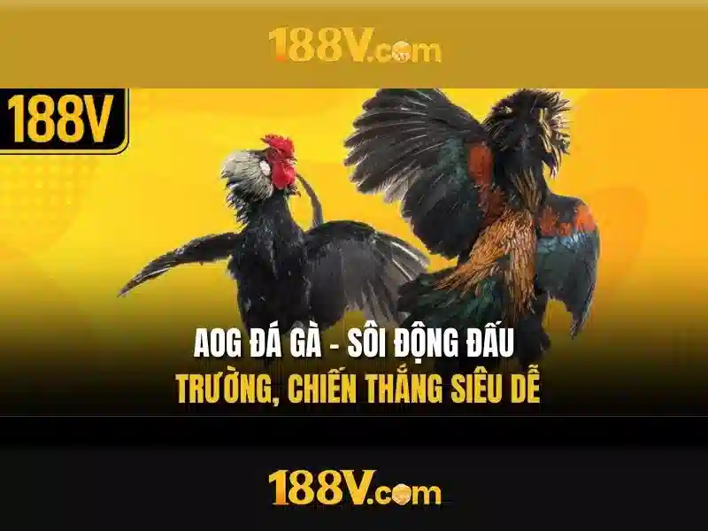 Giao diện nhà cái hoàn hảo