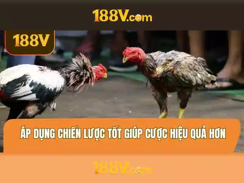 188v trong toán học\n<h>188v trong khoa học ứng dụng</h>\n<p><span style=