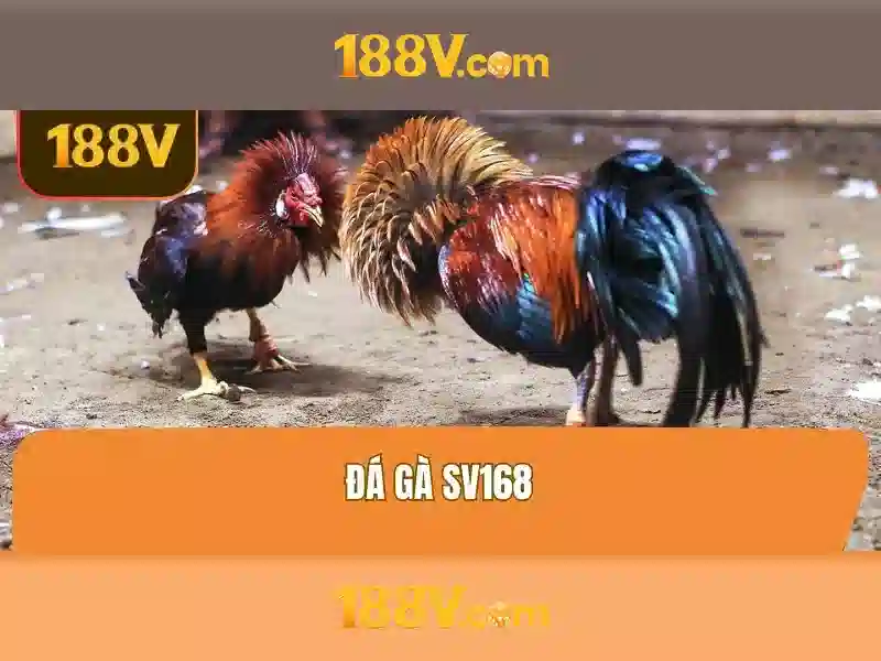 Khái niệm 188v và các ứng dụng tiềm năng Giao diện nhà cái hoàn hảo