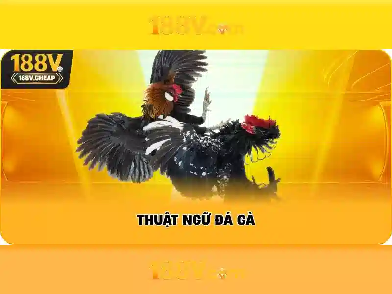 Giao diện nhà cái hoàn hảo