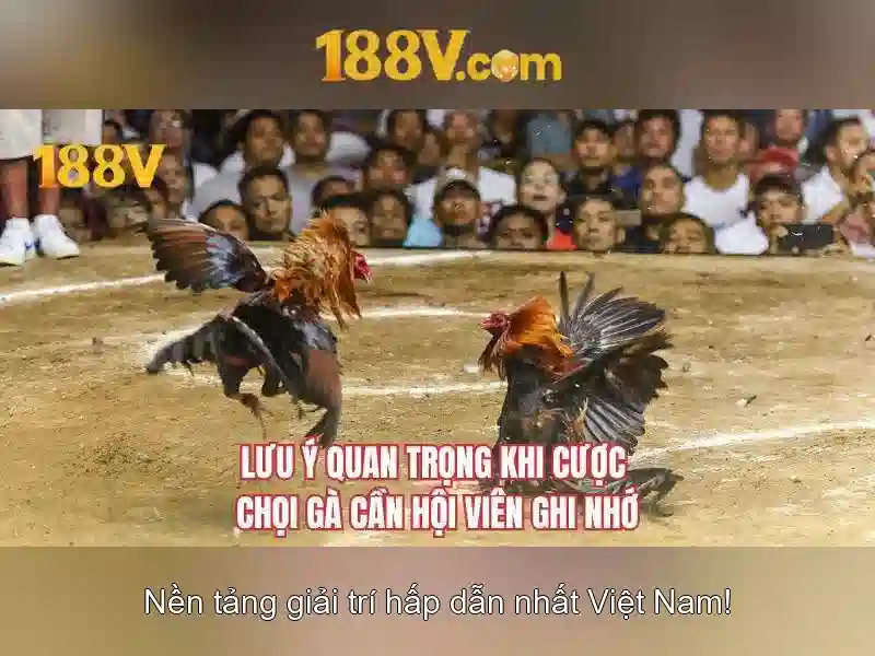 Ứng dụng và an toàn khi làm việc với 188V<p><span style=