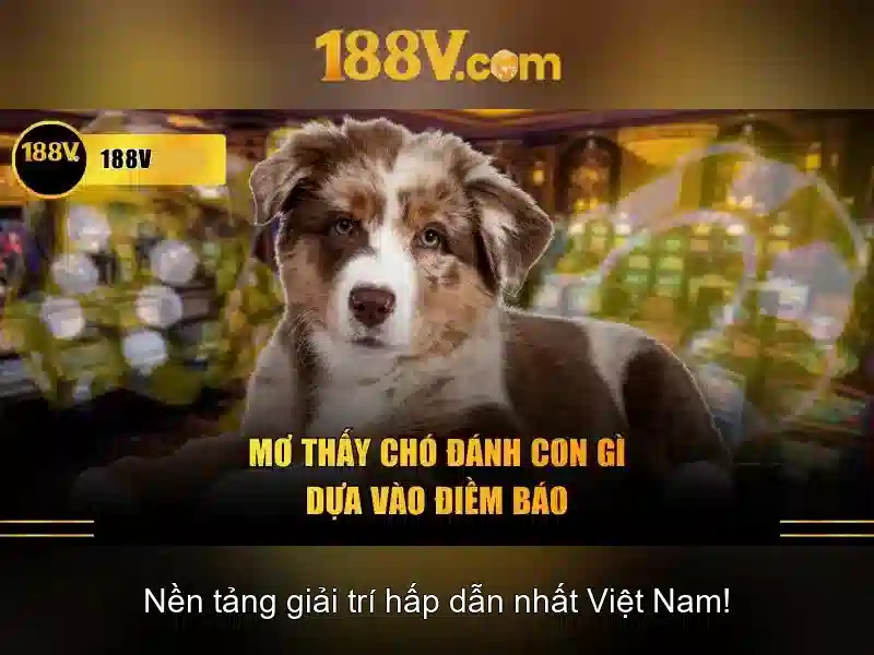 Nguồn gốc và ý nghĩa 188v