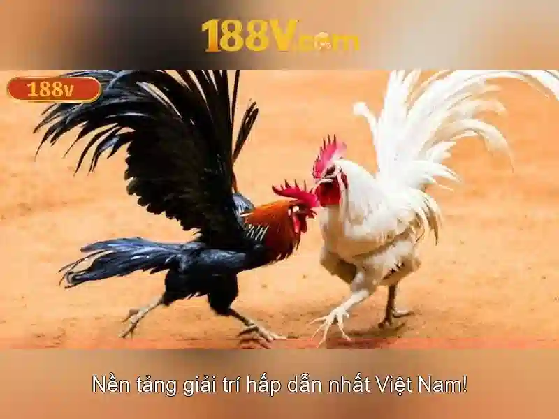 Giao diện nhà cái hoàn hảo