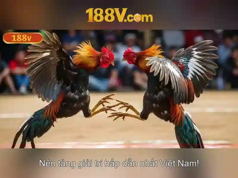Giao diện nhà cái hoàn hảo