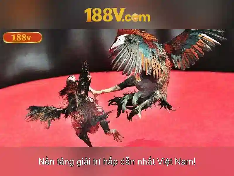 Khái niệm 188V và vai trò của nó trong công nghệ hiện đại Giao diện nhà cái hoàn hảo