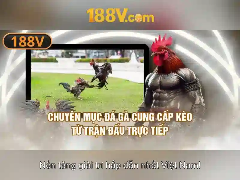 Giao diện nhà cái hoàn hảo