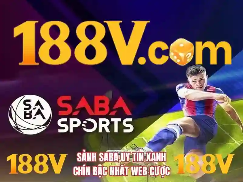 Kết luận và tầm nhìn
