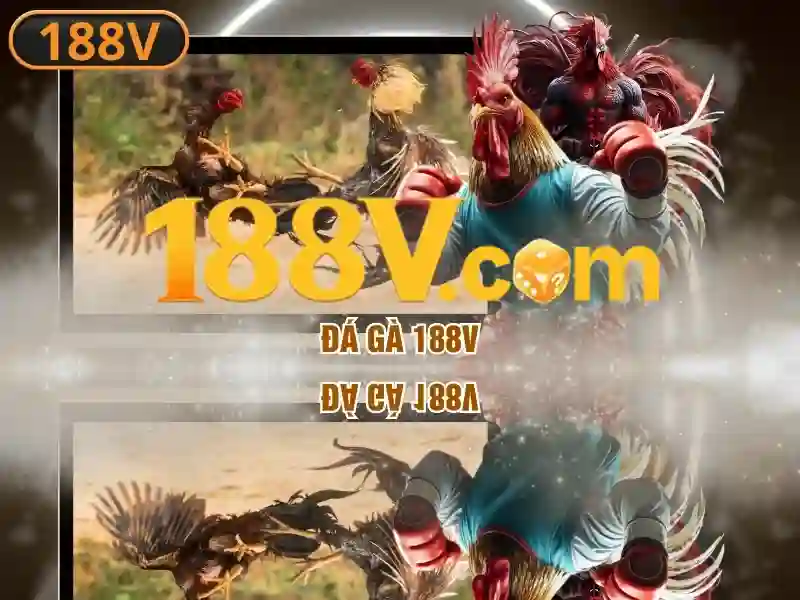 Cong nghe ma hoa SSL bao mat thong tin tai 188v