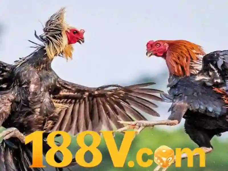 San pham va dich vu co loi cua 188v vip